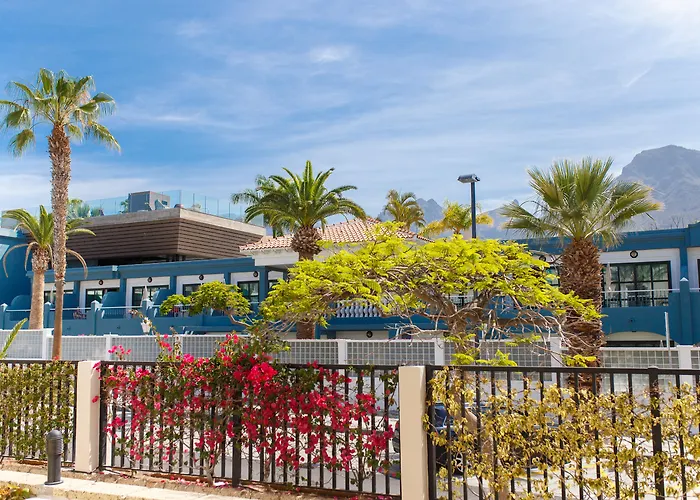 Olivos מלון אדחה