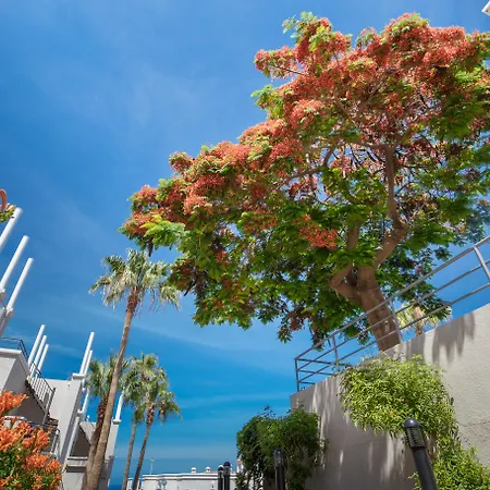 Olivos Hotel